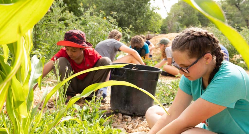 a group of students work in a garden during a service project with outward bound